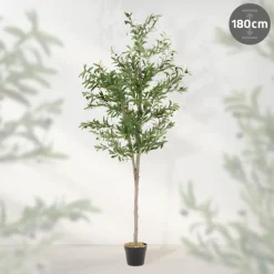 Künstlicher Olivenbaum 180 cm Kunstpflanze mit Naturholzstamm und Früchten ML-Design-ECD Germany Discount