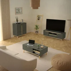 TV Lowboard Fernsehschrank 120x40 cm in mattgrün aus MDF & Kiefernholz ML-Design-ECD Germany Best